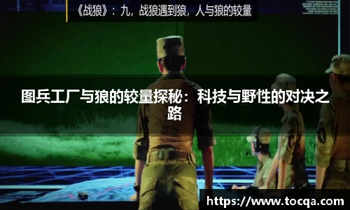 V体育